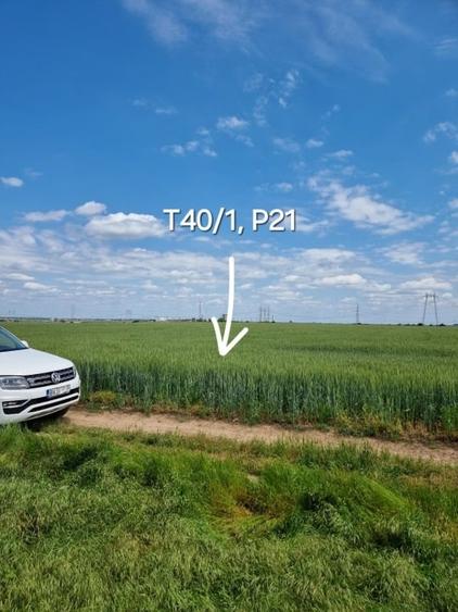 Proprietar, terenuri agricole extravilane, cadastru si intabulare, A0 - 5