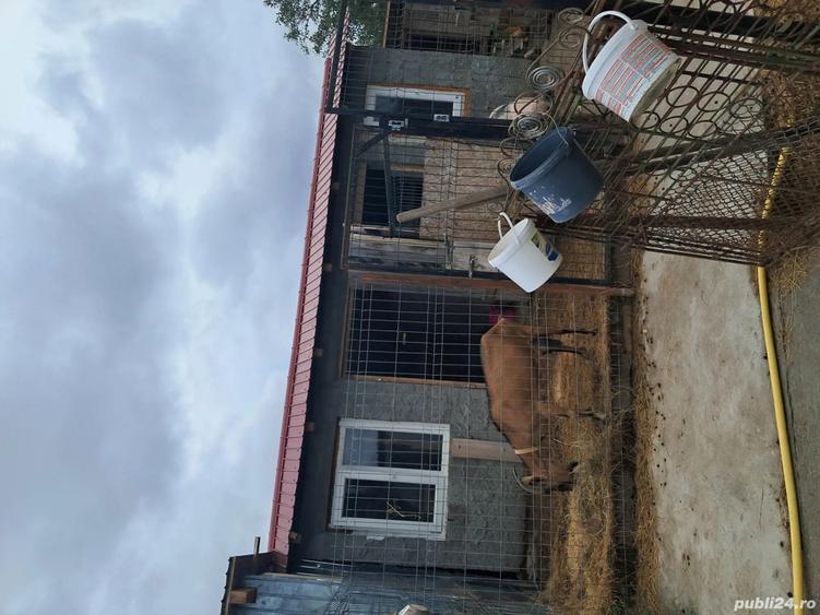 Casa de vanzare ,sau schimb cu apartament la timisoara - 2