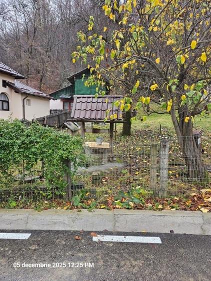 Casa modernizata in Campulung Muscel,padure proprie, toate utilitatile - 4