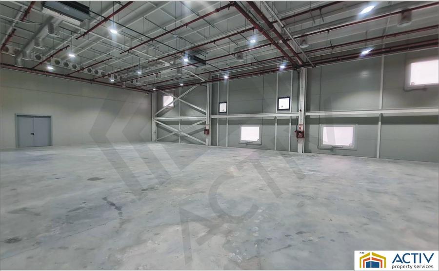 INCHIRIERE SPATIU INDUSTRIAL IN OTOPENI - 4