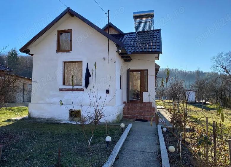 Vand 2 case in Co?e?ti - 1