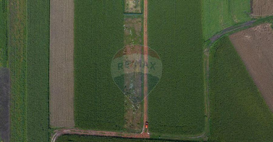 Teren de 1100 mp de vanzare in Stupini - 2