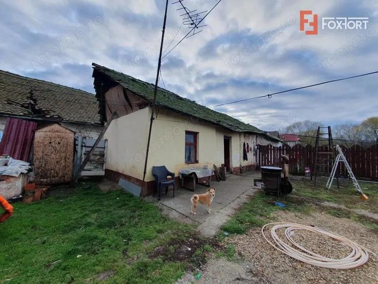 Teren intravilan de 1300 mp, Asfalt - Jebel - 6