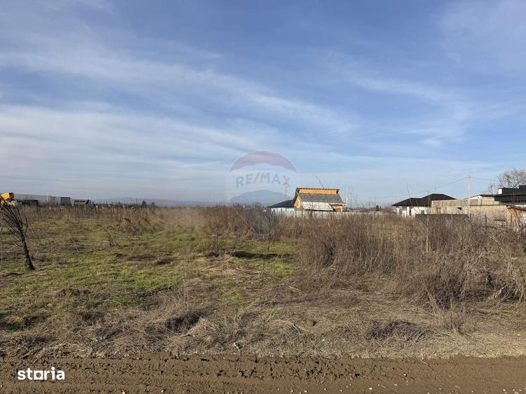 Teren intravilan 7478 mp Bucov, parcelabil, ideal investitie - 4