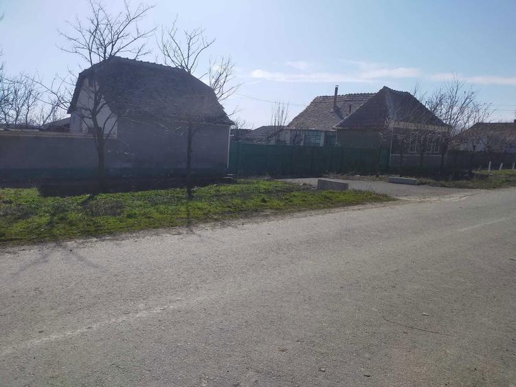 Casa de vanzare cu teren, comuna Livezile - 1