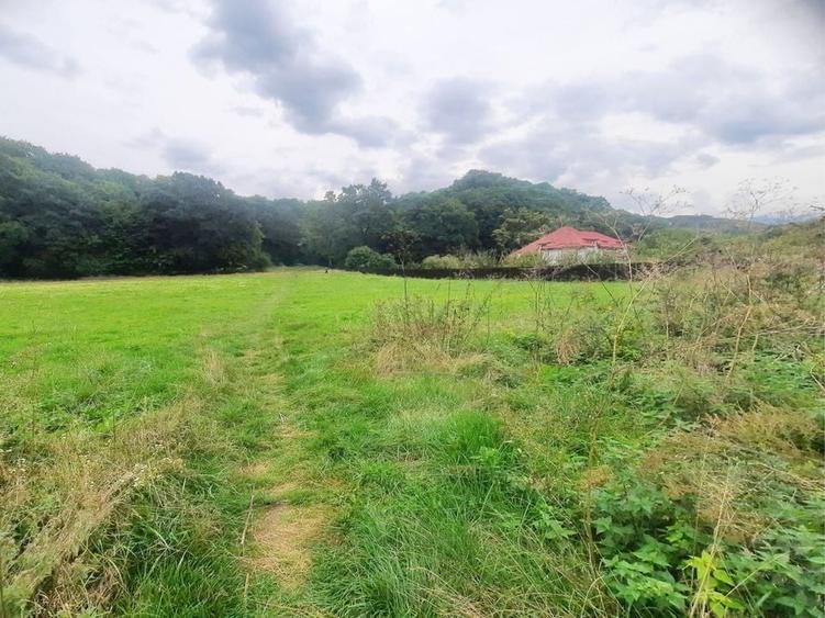 Teren superb Rasnov str Izvorului Cartierul Primaverii - 11