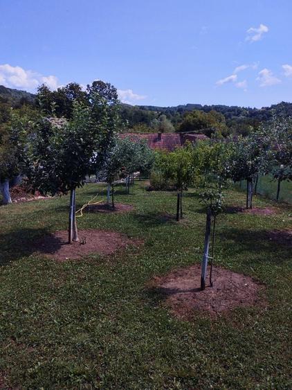 Vand casa in jud. Timis, com Margina, sat Costeiu de sus - 2