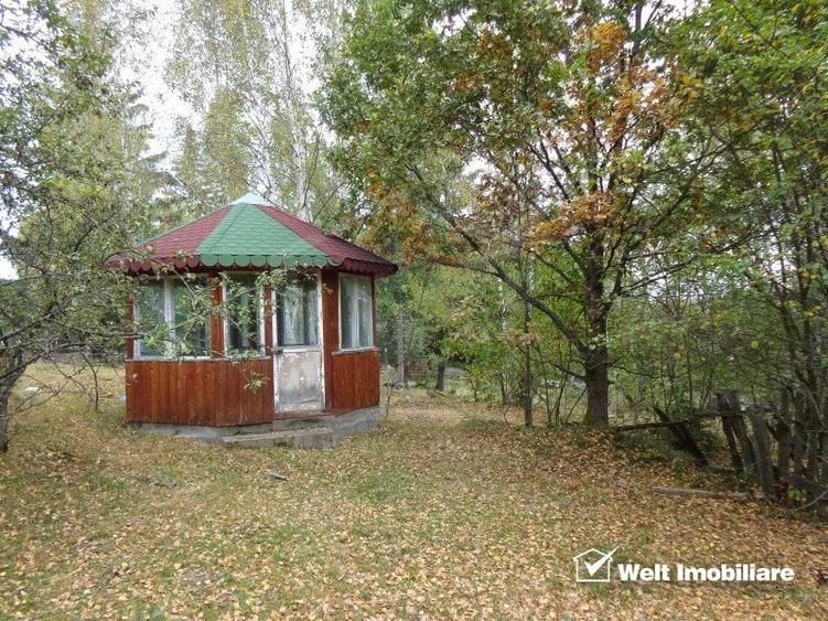 1.6 ha de padure cu poienita, parau la limita curtii, cabana pentru trei familii - 7