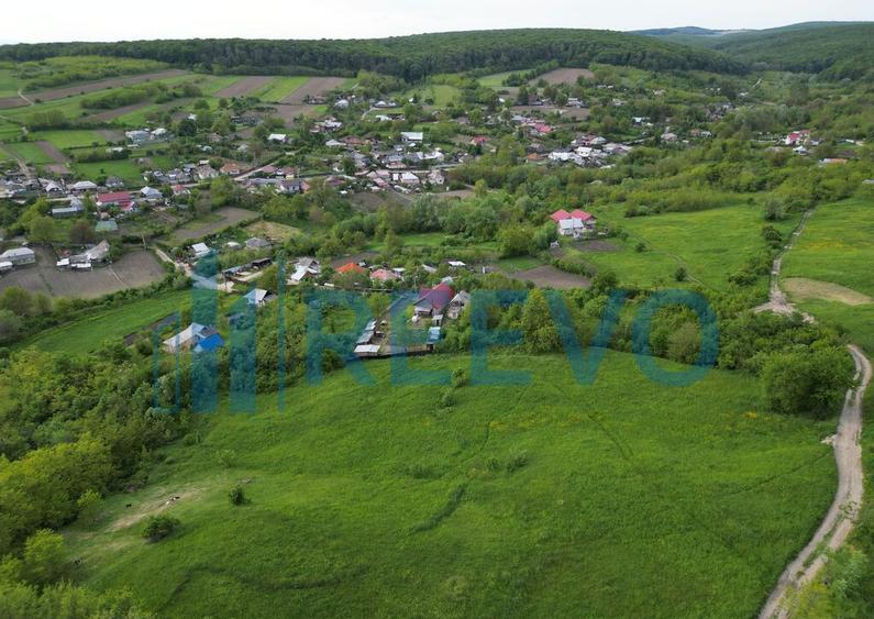 Teren de vanzare, Com. Racova, Str. Bradului, Bacau - 5