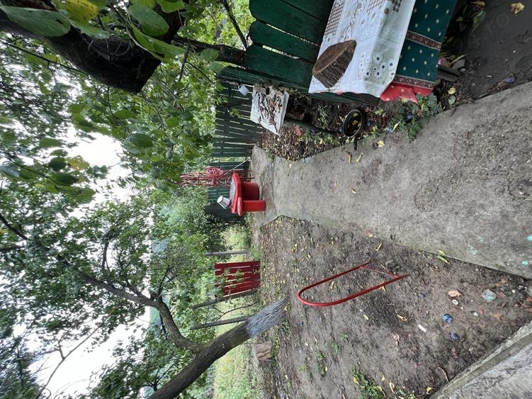 Vand Casa in sat Plopi com. Bunesti-Averesti - 2