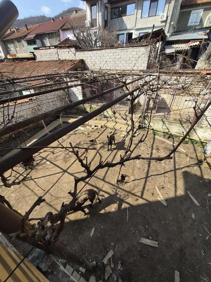 Vand casa in Orsova - 10