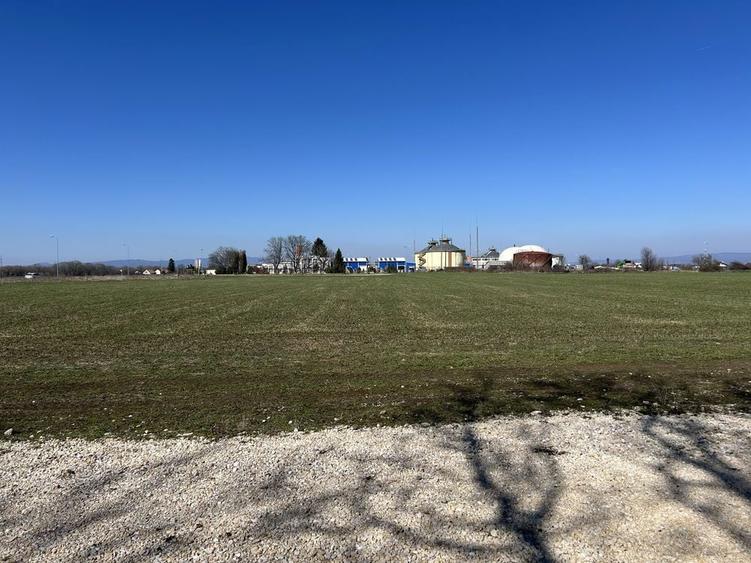 Teren intravilan industrial/comercial - Brasov-Bartolomeu-8112 mp - 3