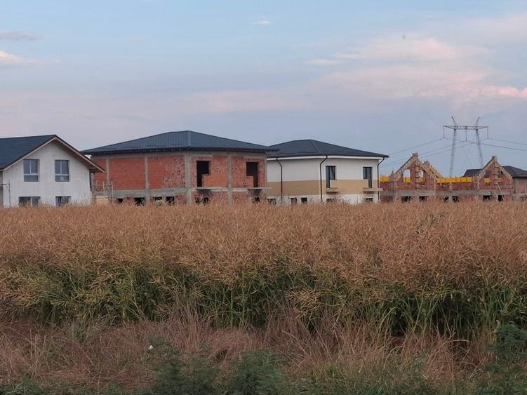 Teren Construcții intravilan de 496 mp, în Berceni