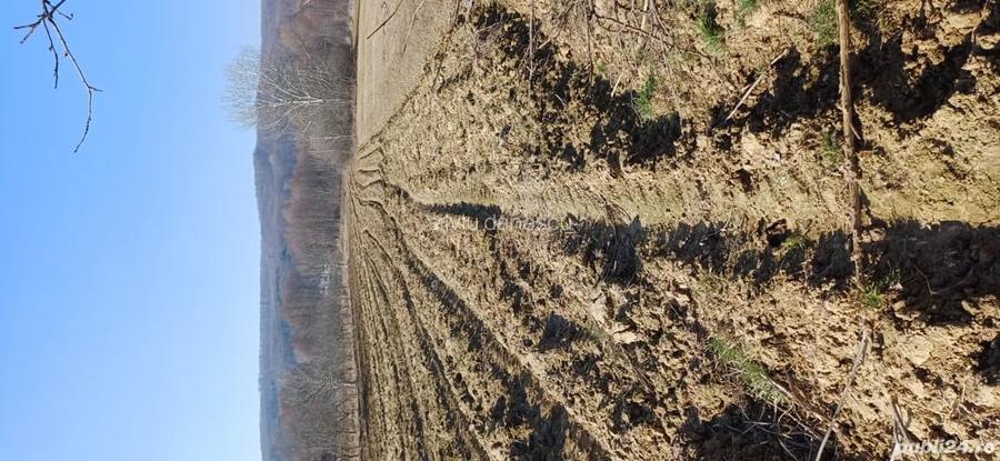 Teren agricol sat.Voroveni