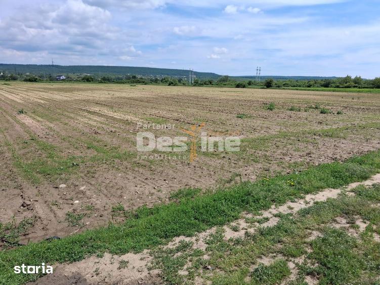 Teren Extravilan de Vanzare Maracineni, Sat Argeselu - 1