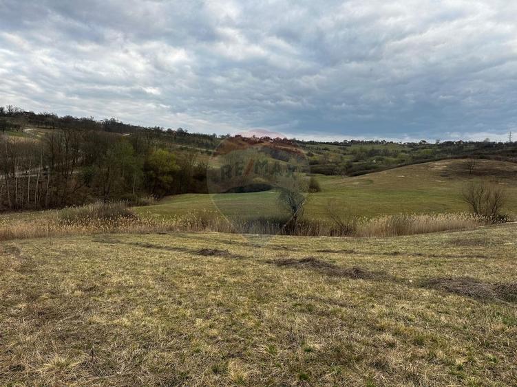Teren cu panorama superba in Berchezoaia + bonus rulota - 7