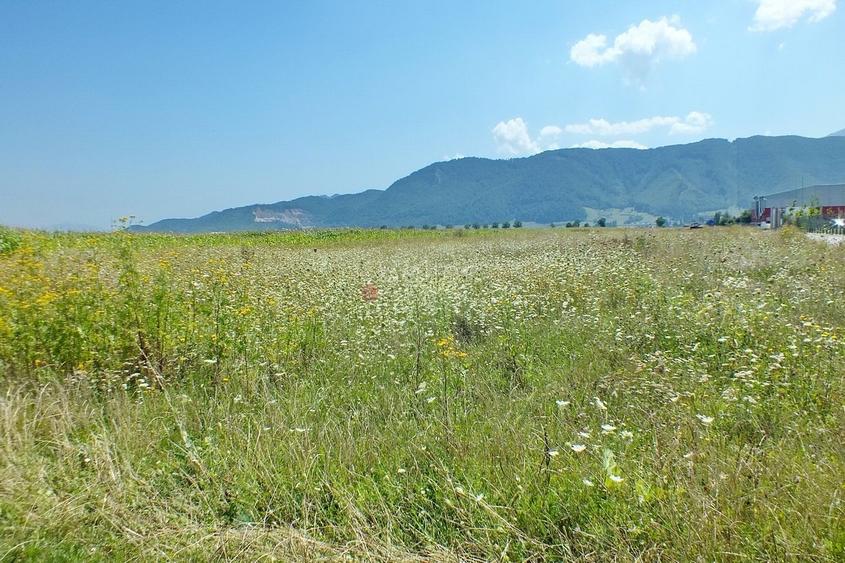 Teren agricol intravilan de 18000 mp, în Cristian