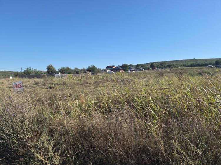 Teren Construcții intravilan de 675 mp, în Bucium