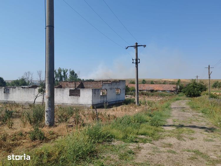 Teren de 9795 mp, în Rădoiești