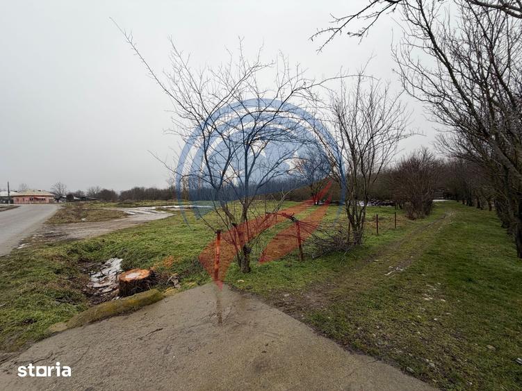 CASA CU TEREN 2500 MP LA 23 KM DE CRAIOVA CU TEAVA DE GAZE - 7