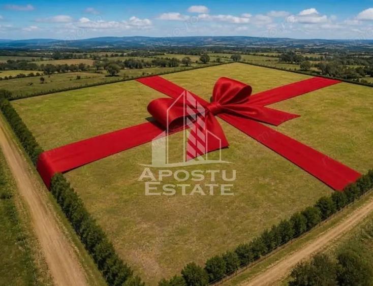 Teren de 235185 mp, în Dudeștii Noi