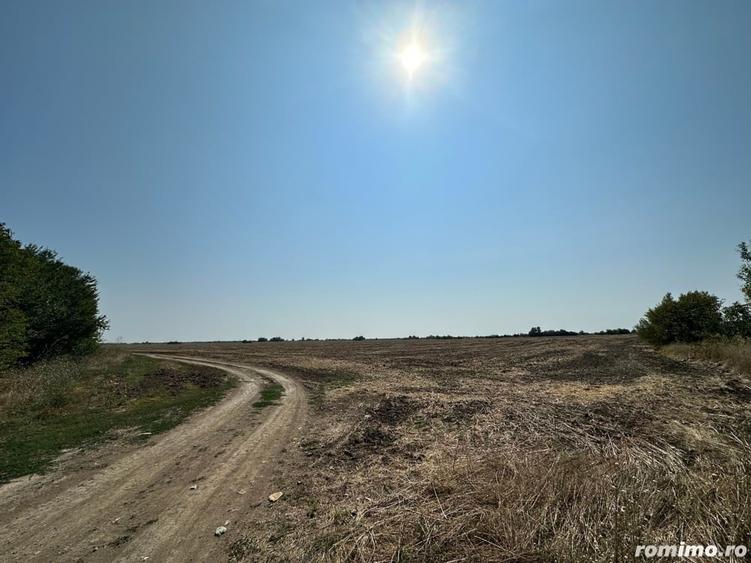 Otopeni Gara Balotesti teren 23.300 mp cu o deschidere de 50 metri - 5