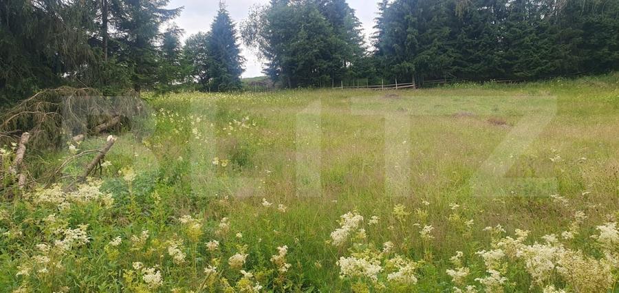 Teren Construcții intravilan de 7671 mp, în Vatra Dornei