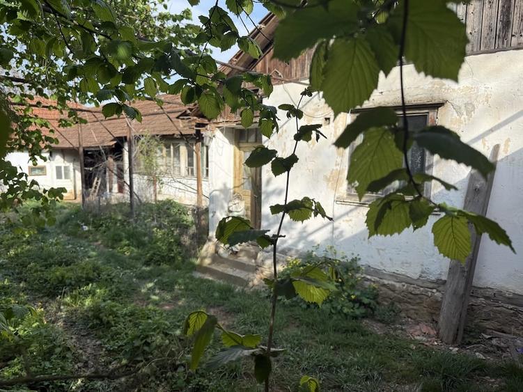 Casă cu 3 camere cu Teren 2400 Mp în Brădet