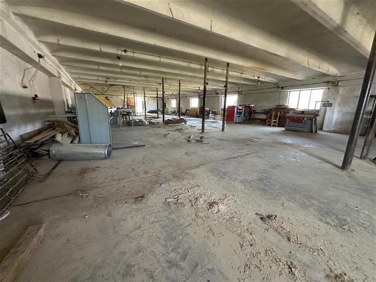 Letea Veche - Radomiresti - Hala 409 - teren 4.650mp - 8