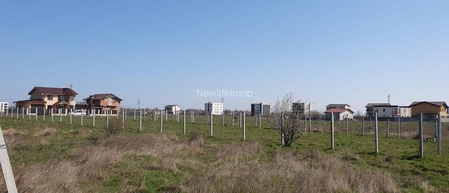 Veterani / 500 mp
