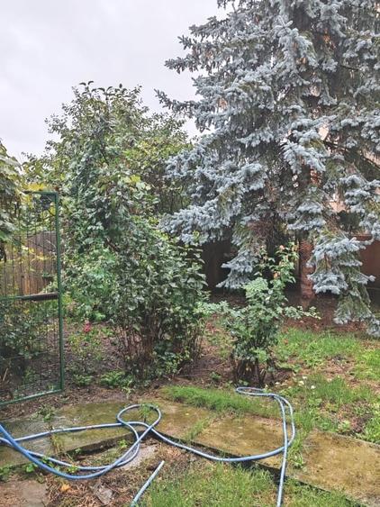 De vanzare - apartament spatios in casa, situat ultracentral - 8