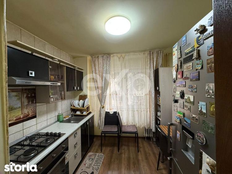 BANAT Apartament 2 camere, mobilat/utilat, etaj 1, zona excelenta - 4