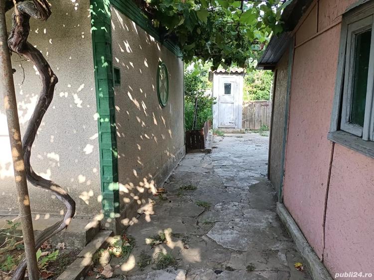 Casa batraneasca de vanzare in Sulina - 8