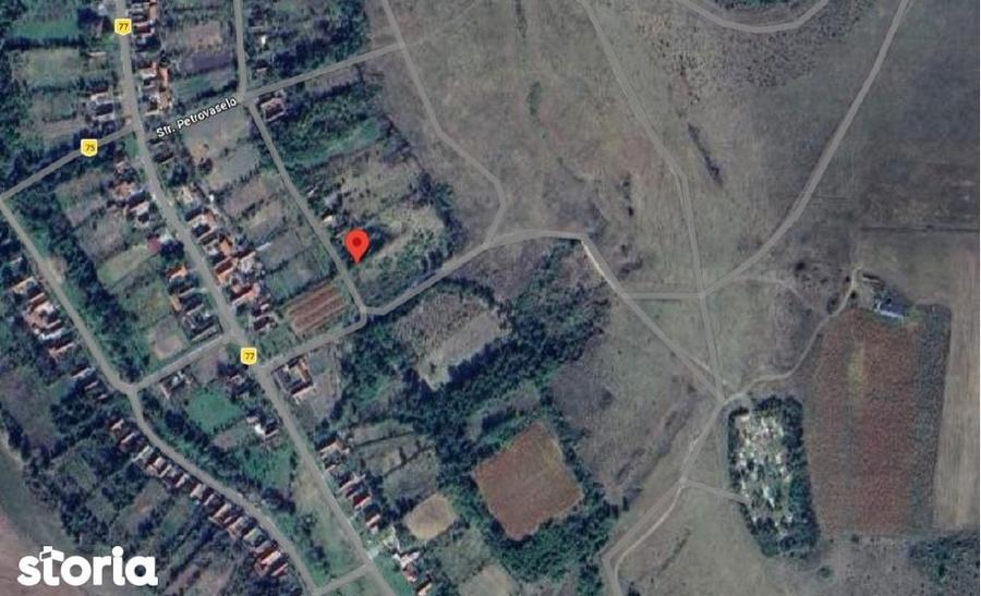 -cota 3/8 din teren extravilan Com. Constantin Daicoviciu, jud. Caras - 1