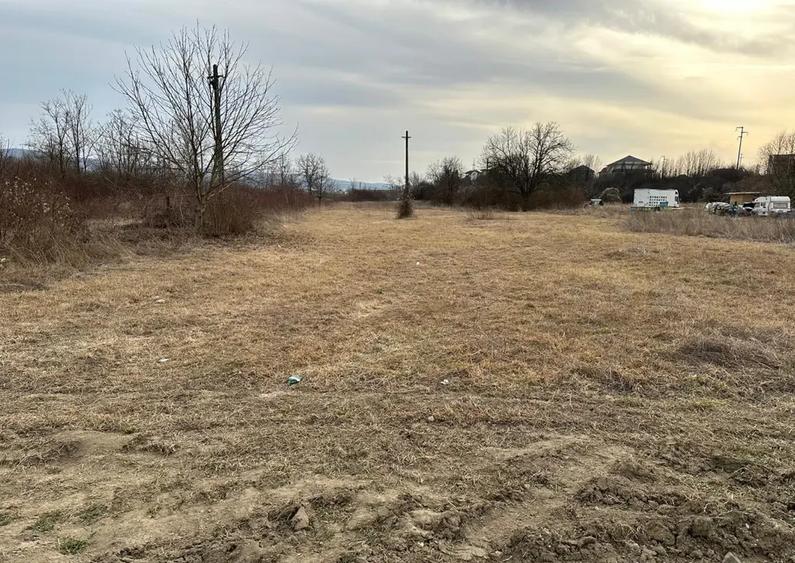 Teren intravilan Ostroveni 6726mp - 3