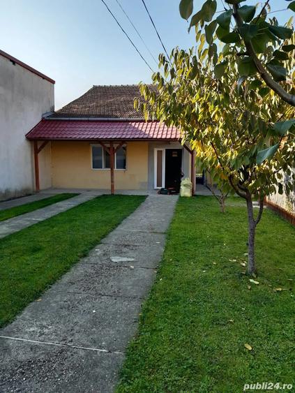 Casa de inchiriat Timisoara - 12