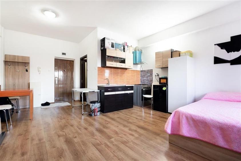 RECO APARTAMENT CU O CAMERA IN PALEU - 3