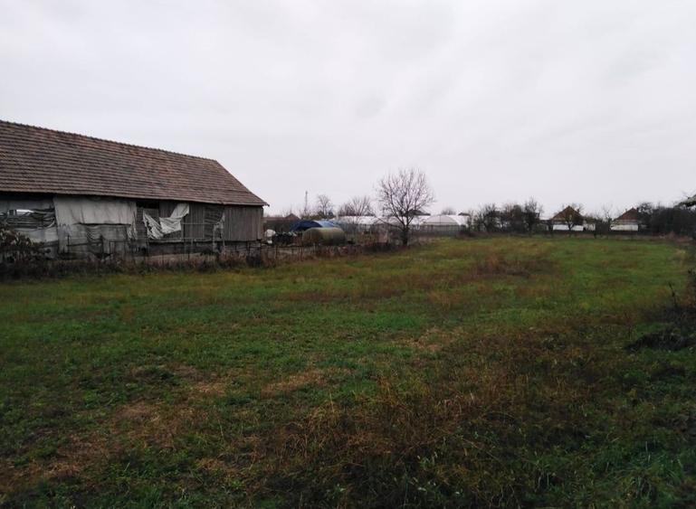 Casa + teren de vanzare - 7