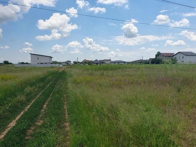 Berceni Ilfov vanzare teren intravilan - 1