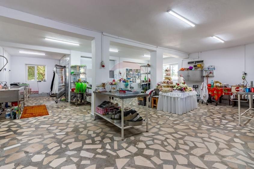 Casa+Laborator+ Teren 12.700 mp + casa de vacanta - Bolintin Vale - 7