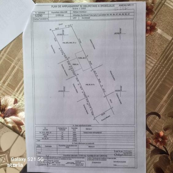 Teren Dumitresti - Fata 2.5 ha - 5
