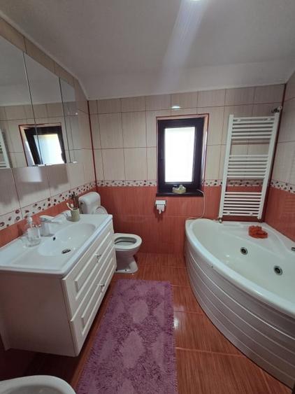 Casa Saucesti  Siretu - 17