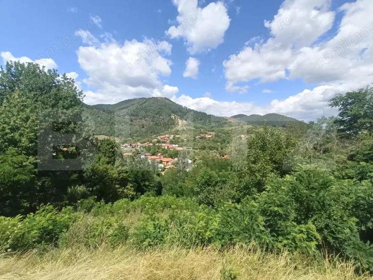 Cabana la rosu 150 mp cu teren de 3500 mp in Ampoita - 2