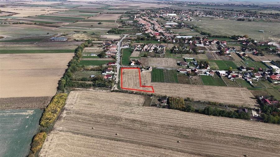 RECO Teren Cheresig 20 km de Oradea - 3