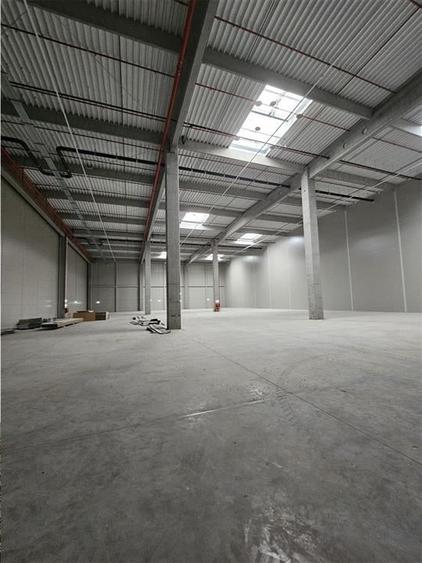 Spatiu Industrial - 4500 mp - Logistica - Productie - Depozitare - Distributie - 19