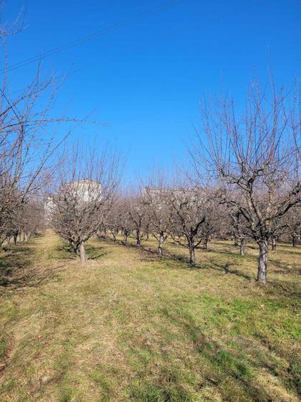 Teren intravilan cu suprafata de 6307 m2 in Pucioasa - 1