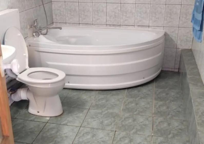 Casa in Certeju de Sus, Hunedoara, persoana fizica - 10