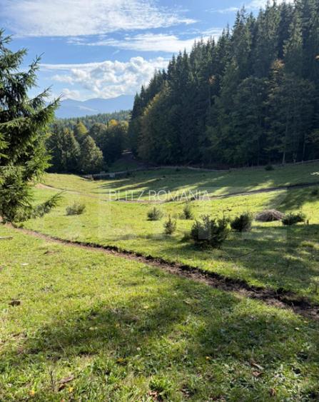 Teren intravilan 28 Ari zona Colibita