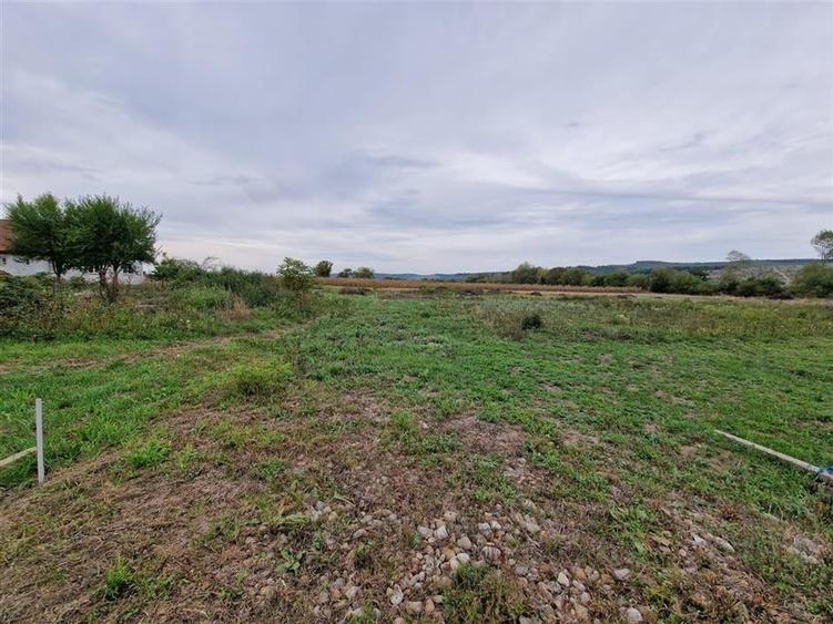 RECO teren intravilan Ineu - 6