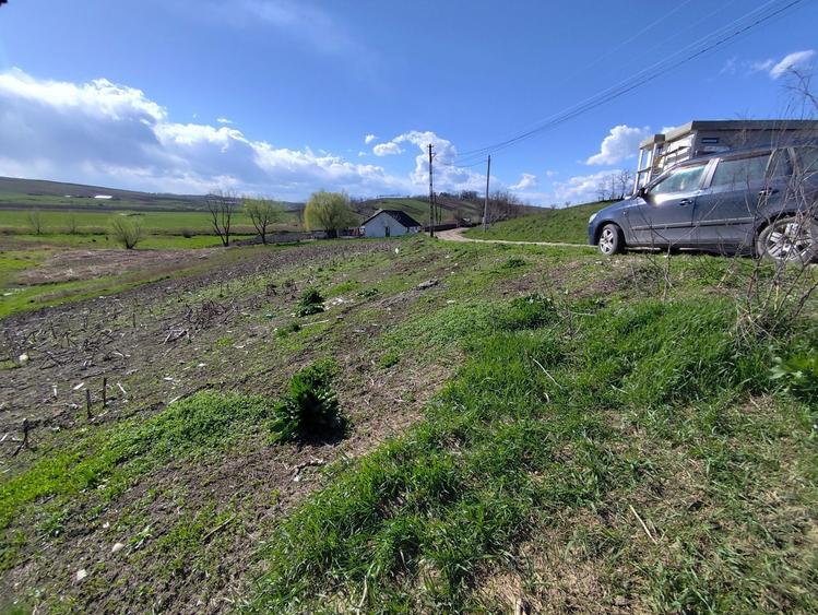 Teren intravilan in Rosiorii,3950m2, utilitati! - 1